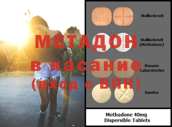 гашик Алексин
