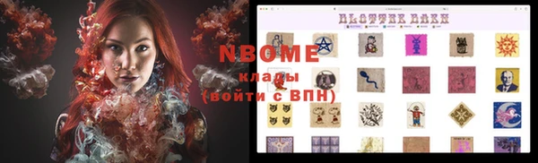 гашик Алексин