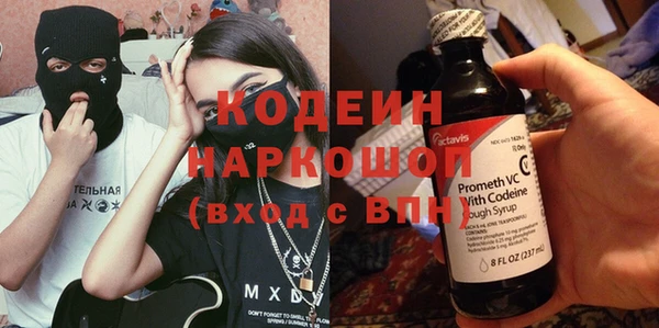 гашик Алексин