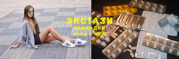 гашик Алексин